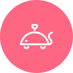 icon3 icon3